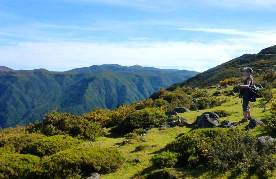 fonte do bispo